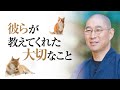 【福厳寺どうぶつ供養】命の本来の在り方