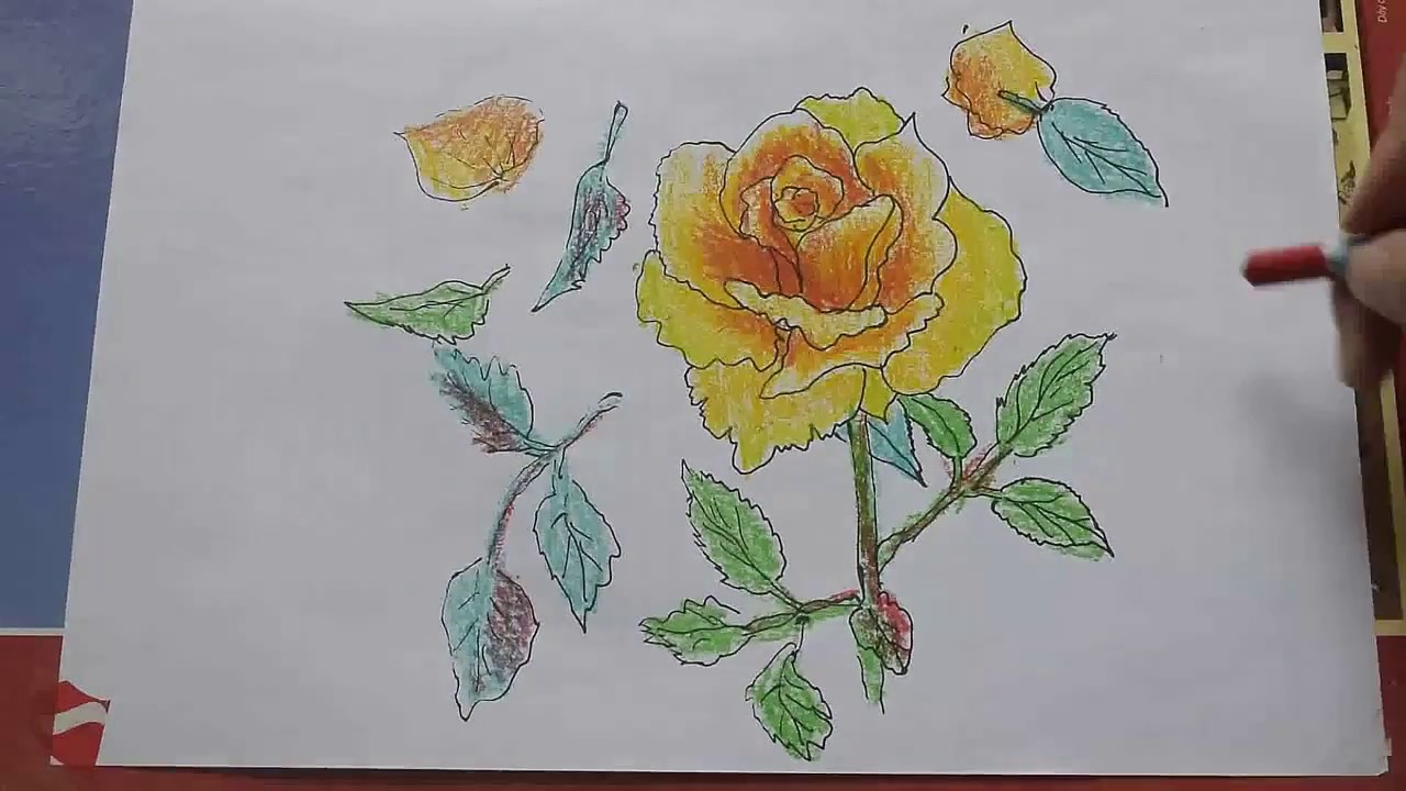 How To Draw A Rose - Free Art Lesson - Cách Vẽ Hoa Hồng Vàng | Tổng Hợp  Những Kiến Thức Liên Quan Đến Cách Vẽ Hoa Hồng Cách Điệu Chuẩn Nhất