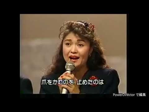チェリッシュ　白いギター