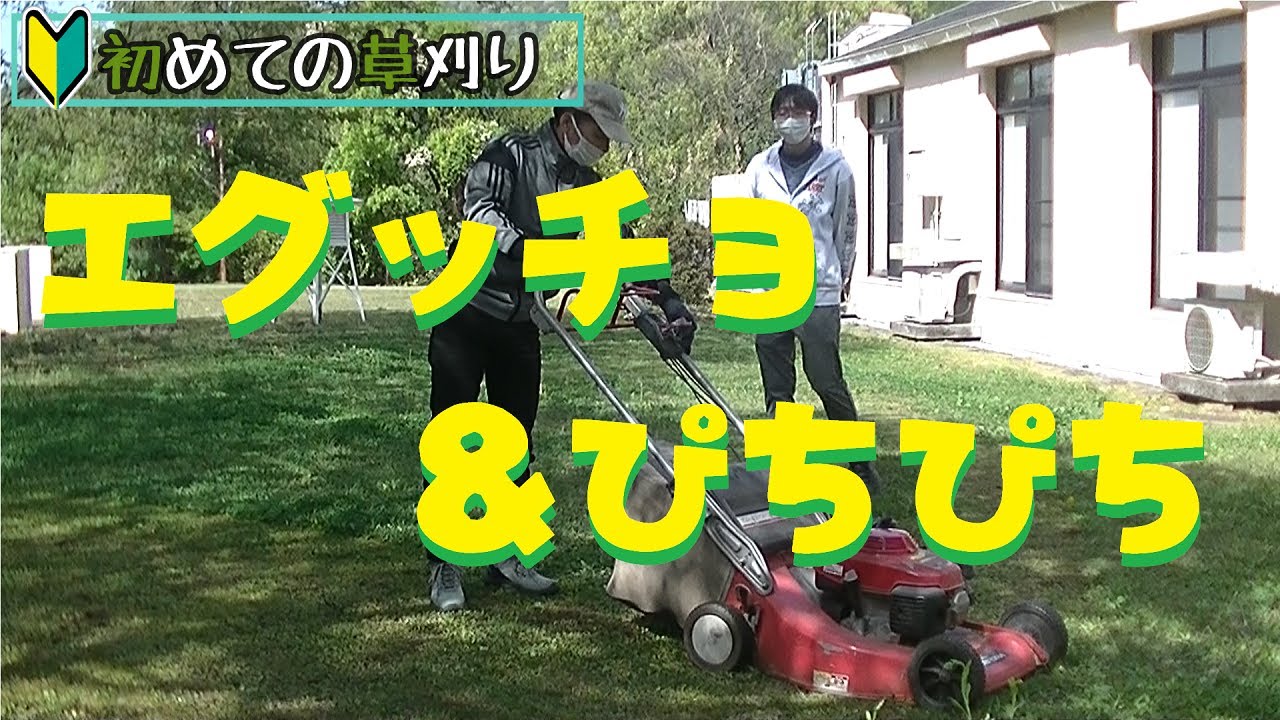 初めての草刈り体験 自走式芝刈機 新メンバー紹介 - YouTube
