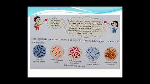 CBSE CLASS-4TH CH-5 THE WORD  OF MICROBES (full chapter in hindi)