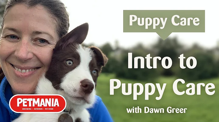 Puppy Care - Introduction to Series with Dawn Greer