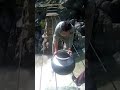 😂دہ خفل زان نہ زیات پہ دیگھ مئین دی۔