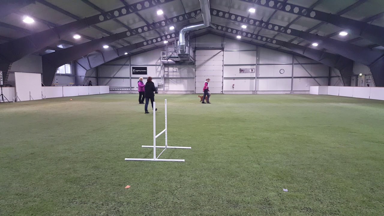 Novan alo tokokoe 200/200p kp 1.sija Vantaa 26.11.2017