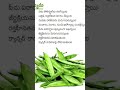interesting facts #short#video