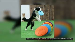 Ouzey Bite Resistant Flying Disc Toys For Dog Multifunction Pet Puppy Training Toys Outdoor Interact