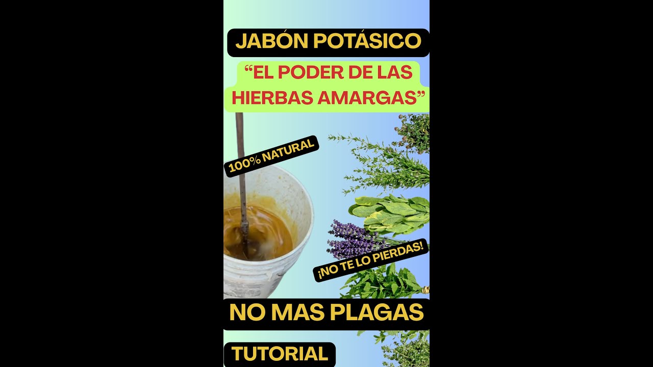 Jabón Potásico: La Receta Mejorada 🔥
