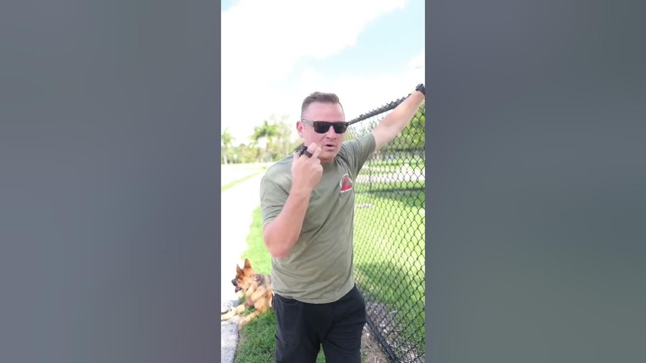 what-to-do-when-your-dog-overheats-germanshepherd-youtube