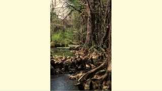 Wetlands Ecosystems - L10.4