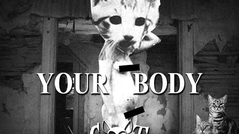 Cat Dealers - Your Body (Remix)