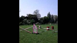 Video Thumbnail for Me and maverick jumping 1m20ish? (Raw)