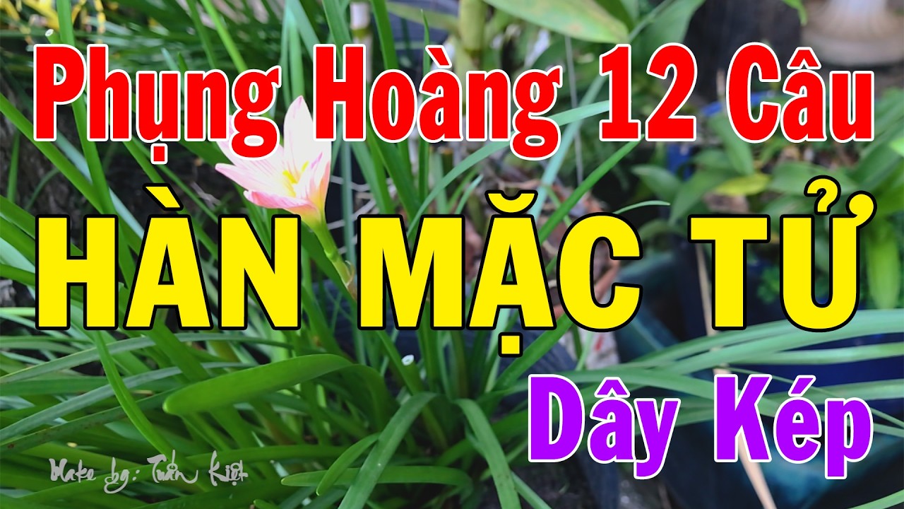 Karaoke Phụng Hoàng 12 Câu Dây Kép | Hàn Mặc Tử - Beat Hay, Chuẩn – Tuấn Kiệt Karaoke