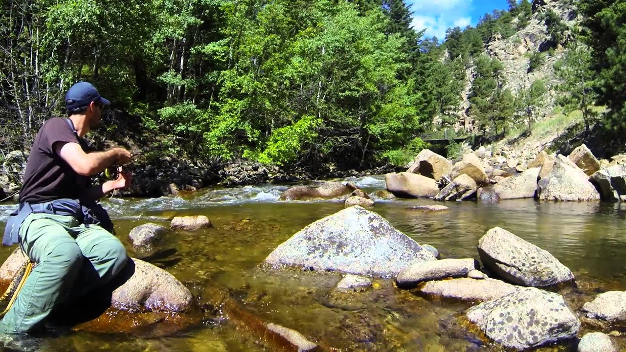Fly Fishing Colorado Small Streams, August 10, 2013 YouTube