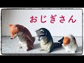 【ガチャ】おじぎさん！かわいい動物ガチャの新シリーズ！