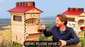 New Paulownia Flow Hive 2 Features Walkthrough