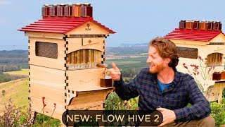 New Paulownia Flow Hive 2 Features Walkthrough