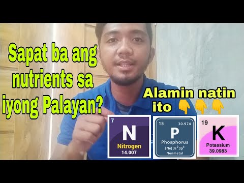 Video: Mga Pataba Ng Nitrogen: Ano Ito? Mga Uri, Kadahilanan Ng Pagkakalagay, Kahalagahan At Aplikasyon Ng Mga Nitrogen Fertilizers Sa Bahay