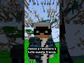 HO FERMATO IL TEMPO SU MINECRAFT