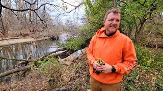 Conservation Comes to Life at New LMC Hanshaw Wetland Nature Preserve along Little Miami