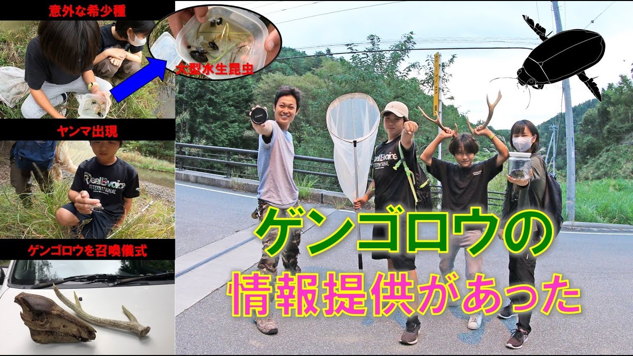 ゲンゴロウがいた！生息地の情報提供がきた！
