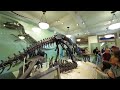 VR180 American Museum of Natural History Dinosaurs - Lenovo Mirage