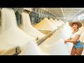 How Sugar Is Made in a Factory (Full Documentary)