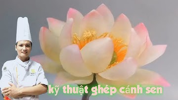 Cắt tỉa hoa quả | cách tỉa hoa sen từ củ cải trắng { how to fruits carving }