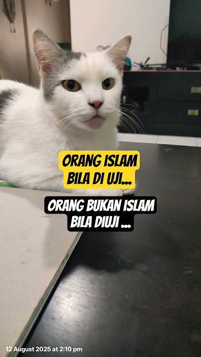 BALASAN UJIAN #ustazwadianuar #ujianhidup #islam #bukanislam #orangislam