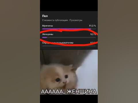 АААА,ЖЕНЩИНА #youtubeshorts - YouTube