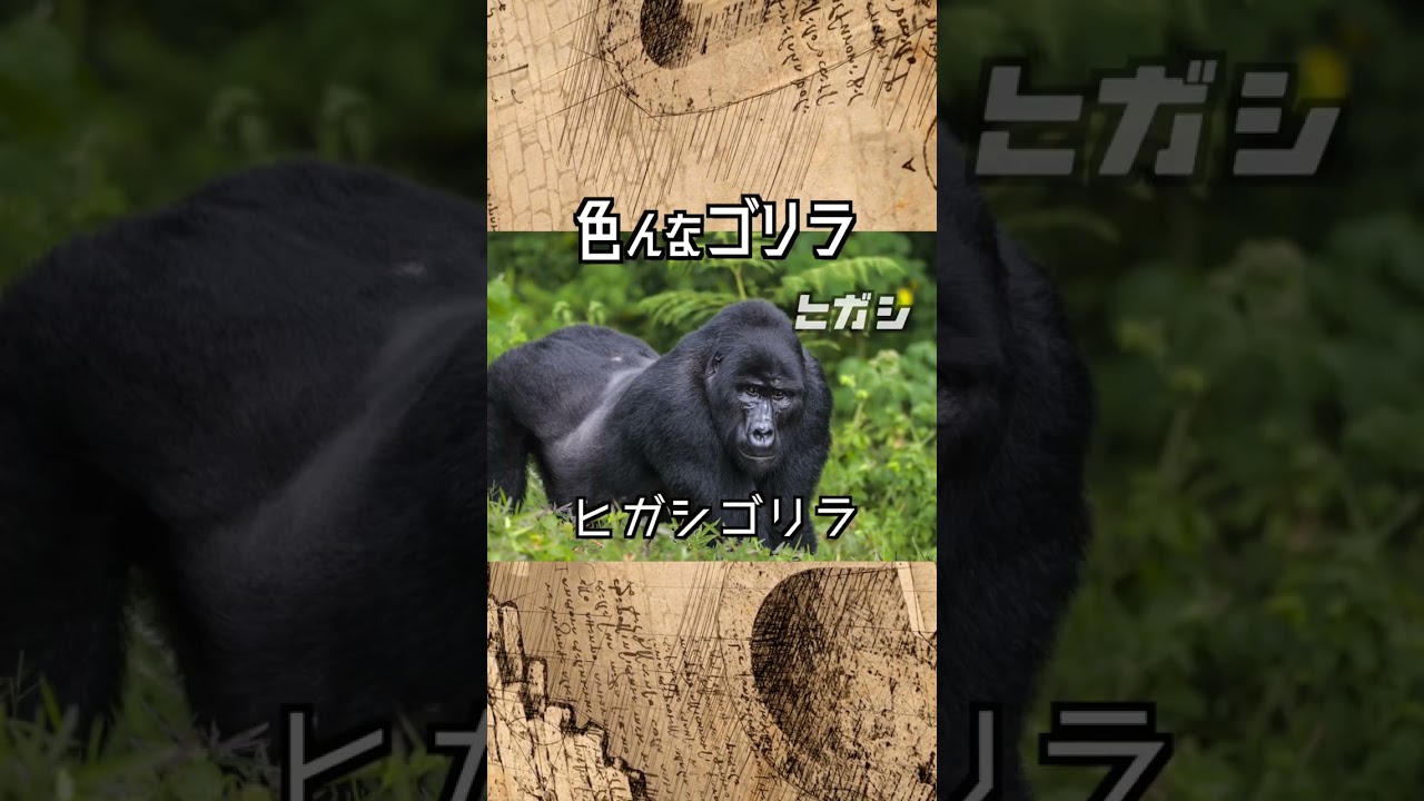 I was shocked at the sheer number of different species! The
