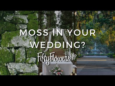 Wideo: Jak wykorzystać Moss w aranżacji kwiatowej?