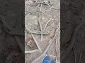 #satisfying #beautiful  #nature  #amazing #hiking