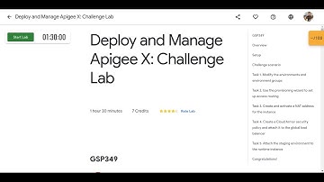 Deploy and Manage Apigee X: Challenge Lab - GSP349