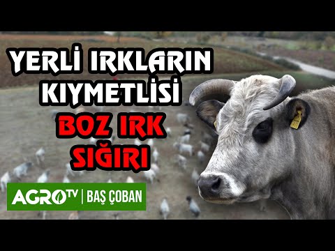 Marmara Bölgesinin Kıymetlisi \