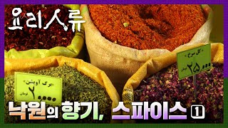 KBS명작다큐｜요리인류 ｜낙원의 향기 스파이스 (1/2) #향신료 ｜Food Odyssey