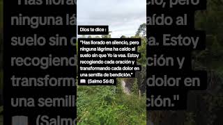 😭 Dios vio las lágrimas que nadie más vio#RMF