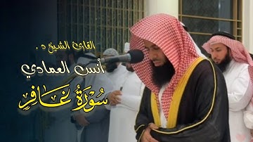 ما تيسر من سورة غافر تلاوة مميزة تفوق الوصف بصوت الشيخ أنس العمادي | مغرب 12-8-1446 هـ