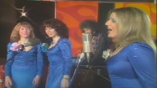 The Bootleg Family Band - The Shoop Shoop Song 1970S