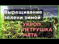 Зелень сколько можно заработать реальные цифры СКОЛЬКО МОЖНО ЗАРАБОТАТЬ  БИЗНЕС ИДЕЯ