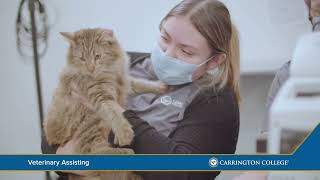 Carrington College Veterinary Assisting Program Overview