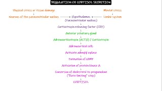 Regulation of cortisol secretion. Chapter 78 part 6. Guyton and Hall Physiology.