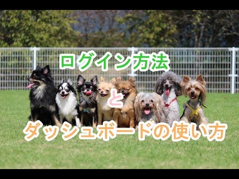 wordpressのログイン方法とダッシュボードの使い方