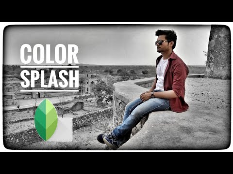 Snapseed Color Splash Effect
