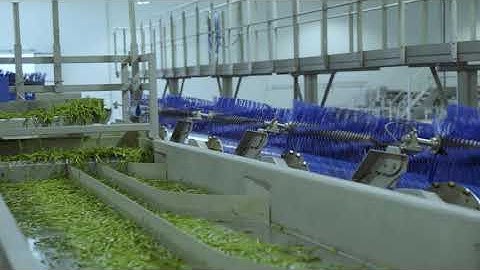 Cascade of decluster drums for industrial declustering and snipping of beans