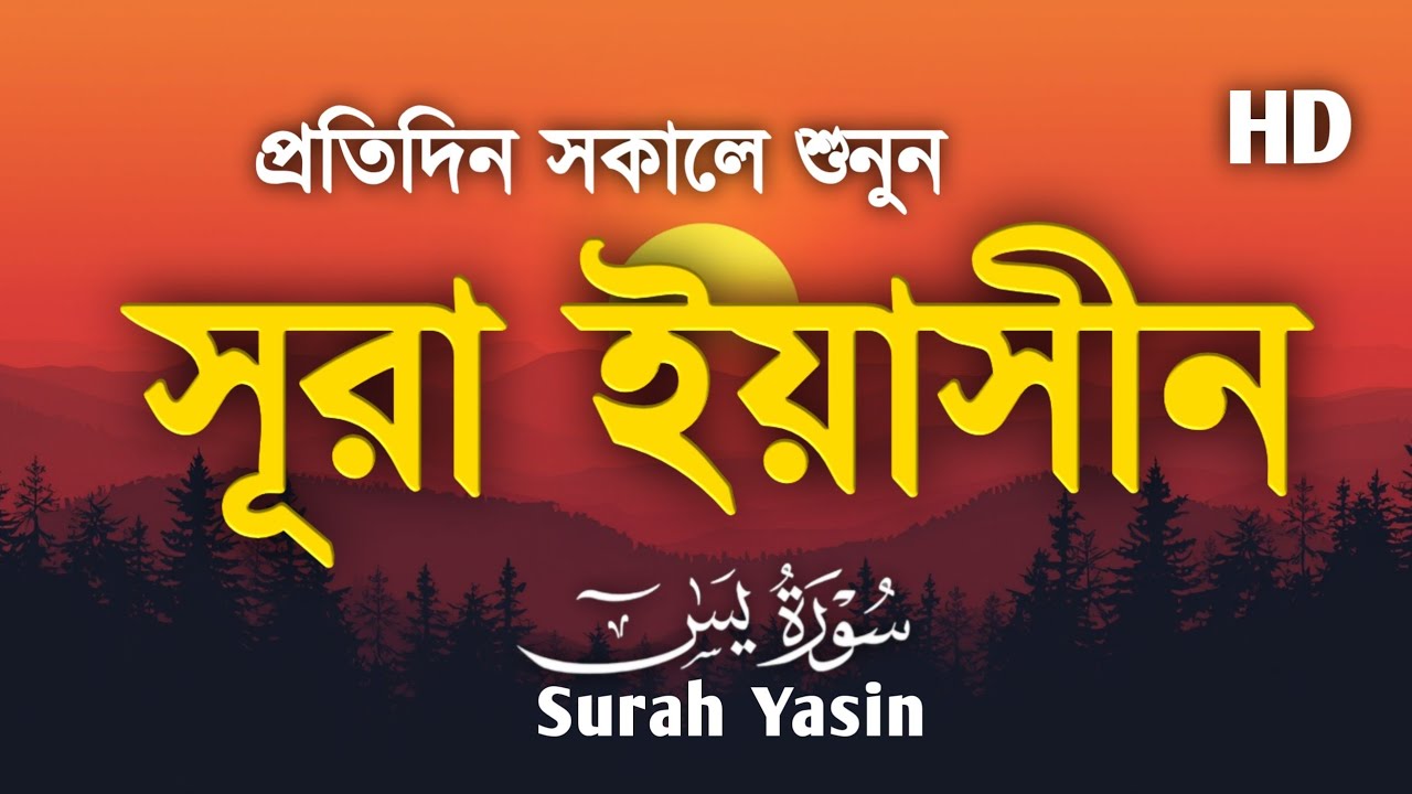 প্রতিদিন সকালে শুনুন - সূরা ইয়াসীন | SURAH Yasin | Most Beautiful Reaction | By ALAA AQEL 
