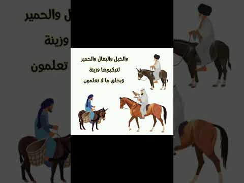 آية جمعت وسائل المواصلات كلها
