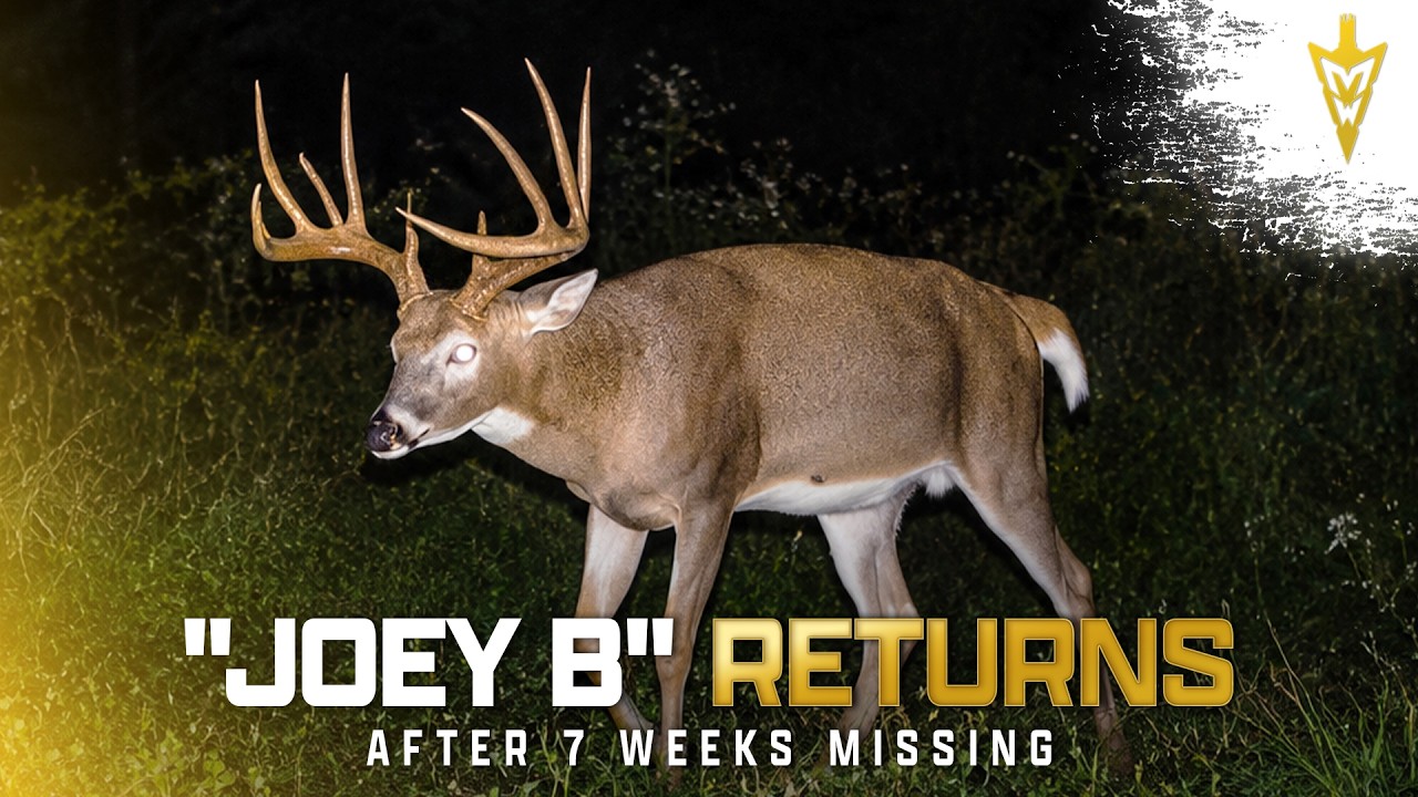 Bow Season Returns, September Buck Success | Midwest Whitetail
