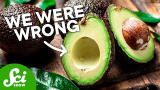 Everyone Was Wrong About Avocados  Including Us