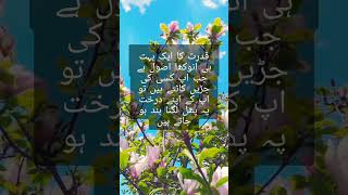 Best Urdu quotes inspirationalquotes poetry favouritequotes