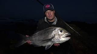 How to catch a mussel cracker - Alikreukel Giant Turban Bait